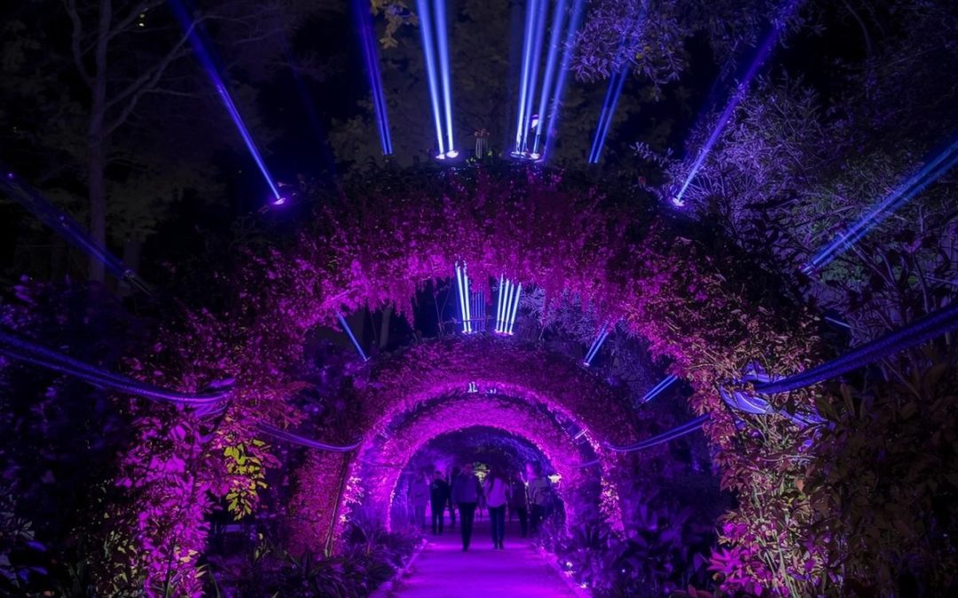 Un jardín histórico convertido en experiencia sensorial
